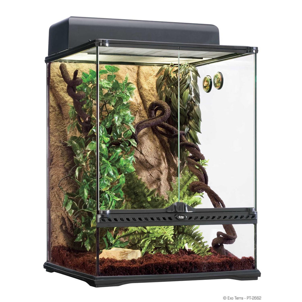 Rainforest Habitat Kit Q918832