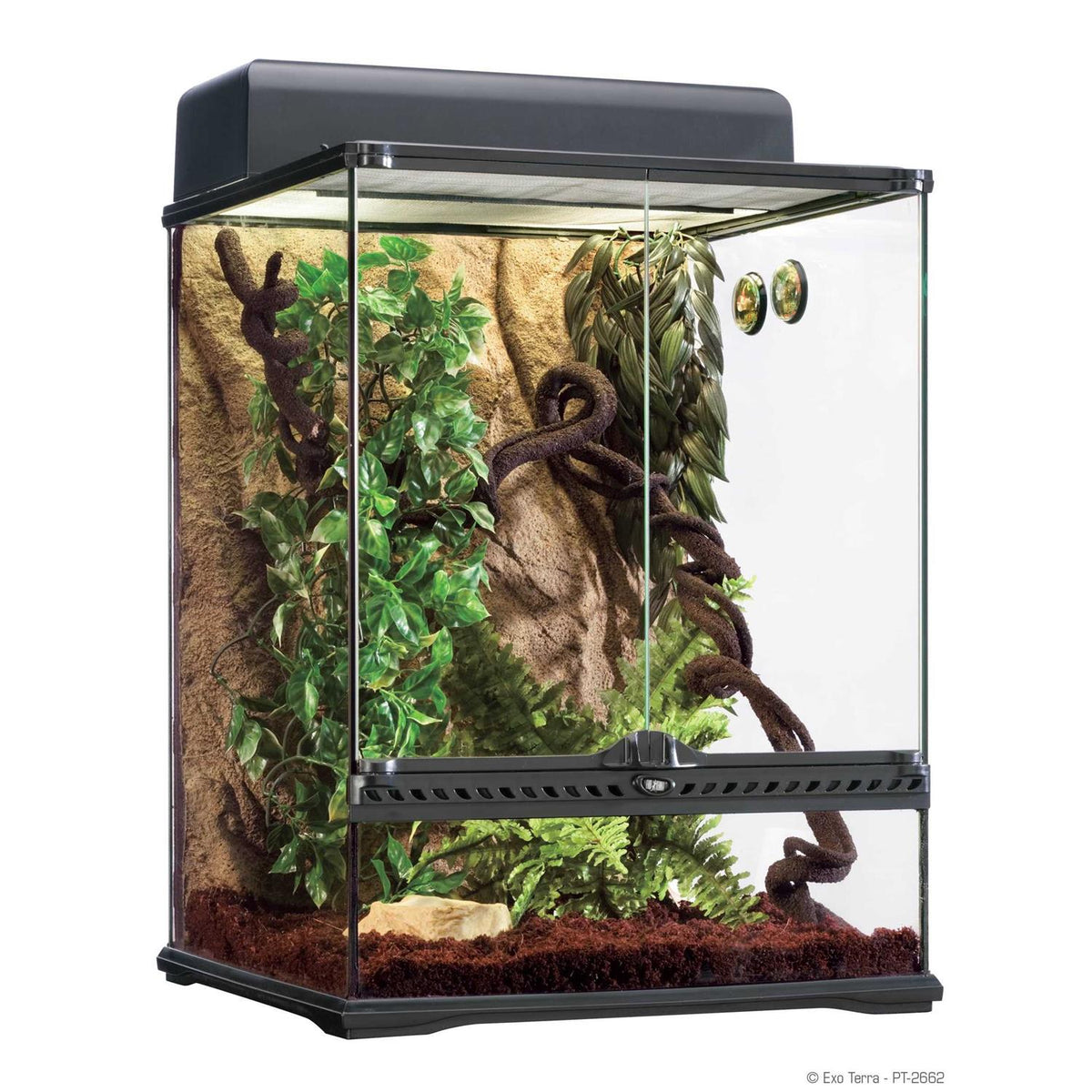 Rainforest Habitat Kit Q918832