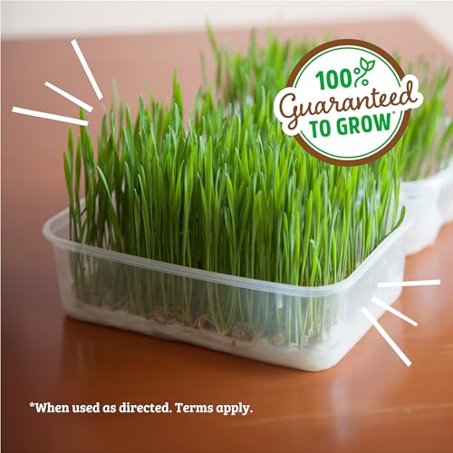 100% Organic 5-Part Salad Seeds 1 Pound Non-GMO H2193