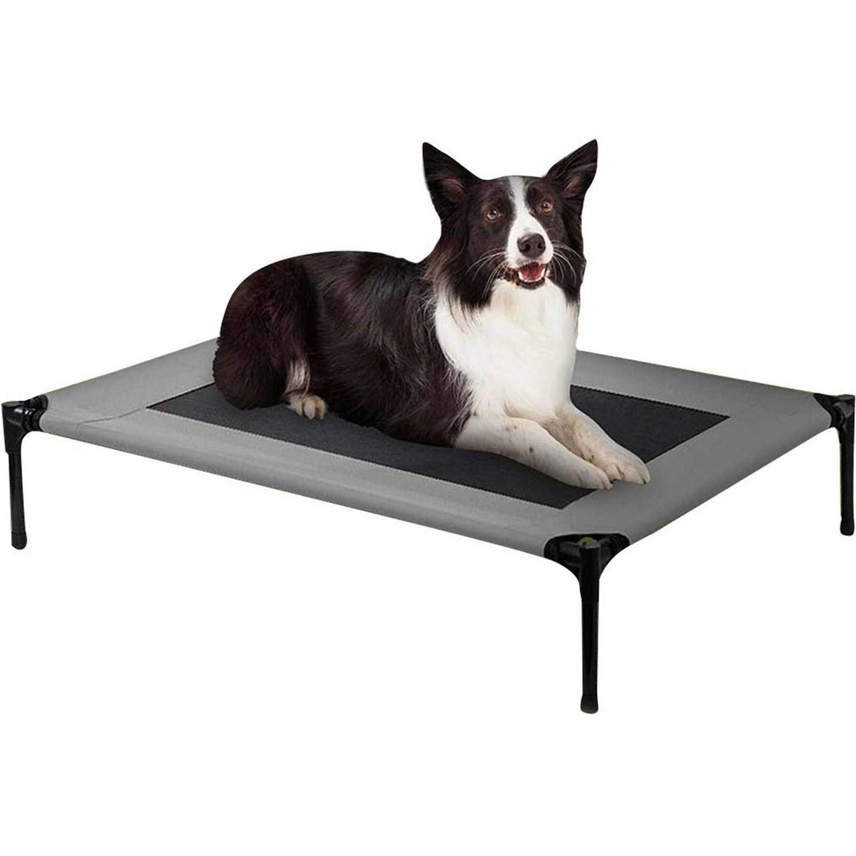 Cot Dog Bed X91894