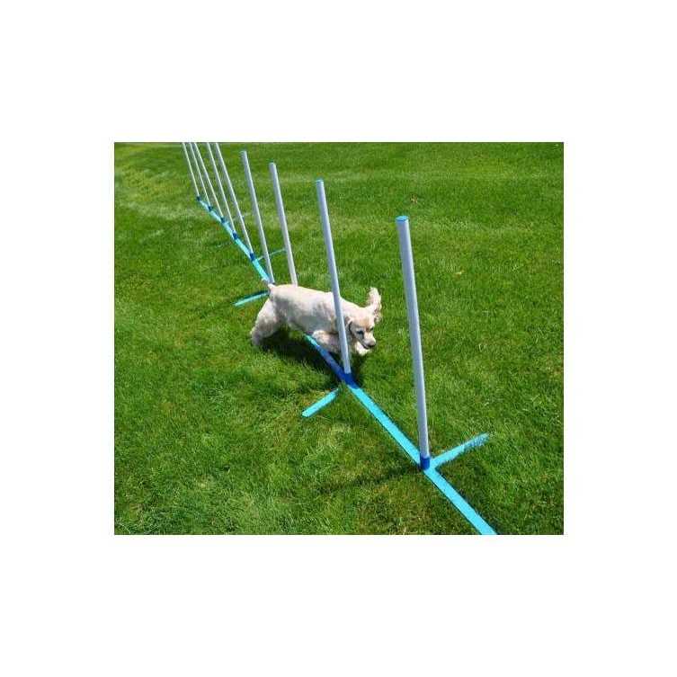Adjustable 6 Pole Set with Carrying Case and Grass Stakes S981