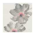 Gray Blush Cosmos Art Print Y206730