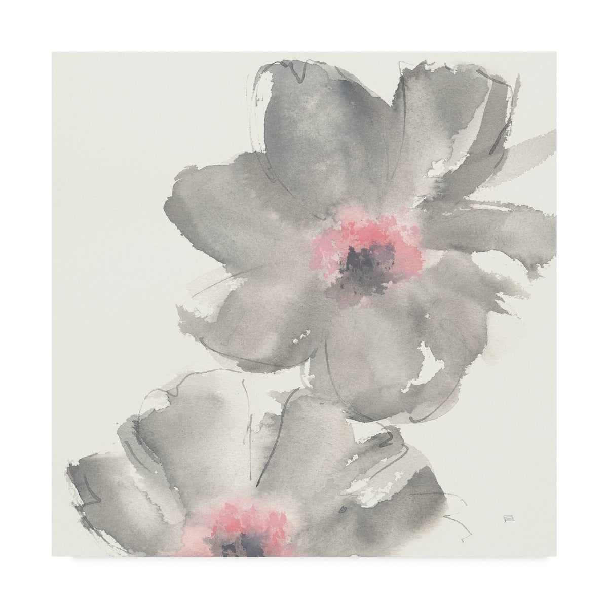 Gray Blush Cosmos Art Print Y206730