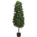 5' Sweet Bay Pyramid Silk Tree A46130
