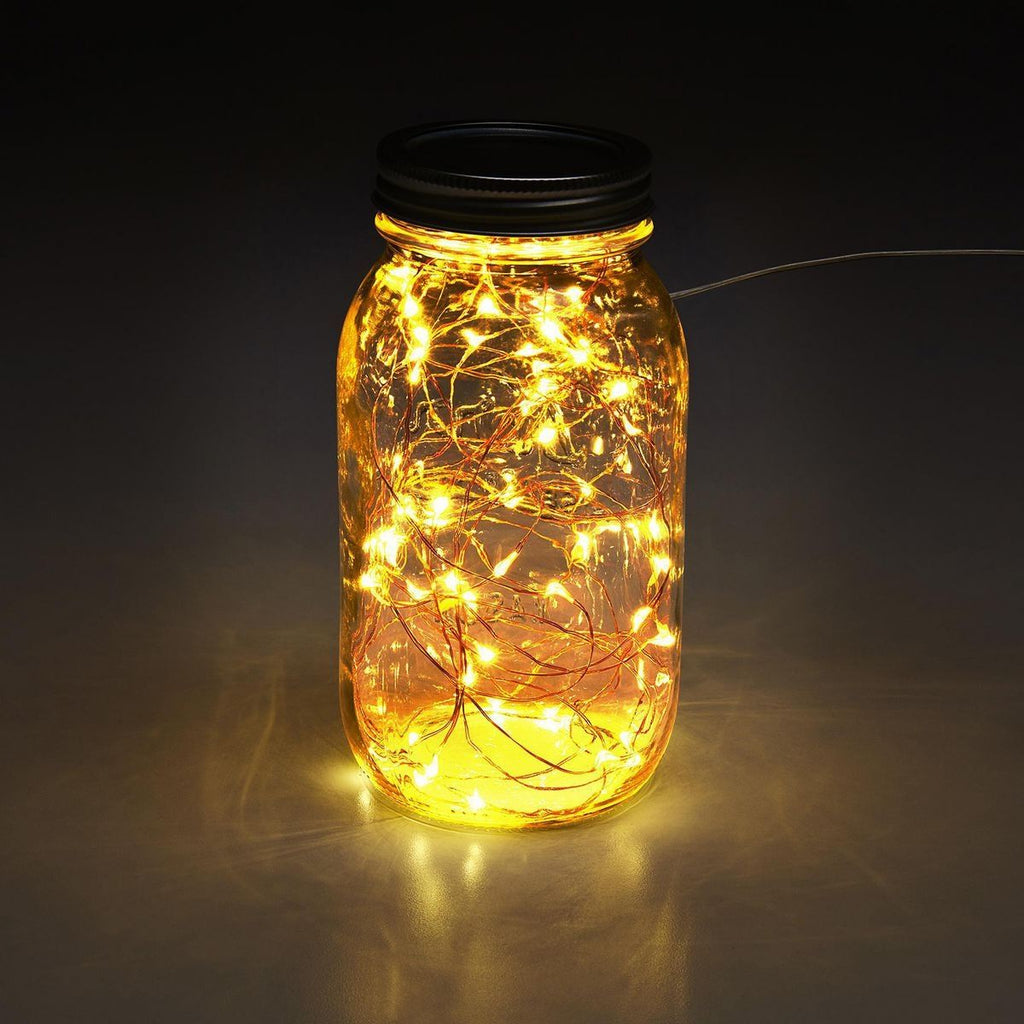 Warm White Copper Wire Lights with Remote U297