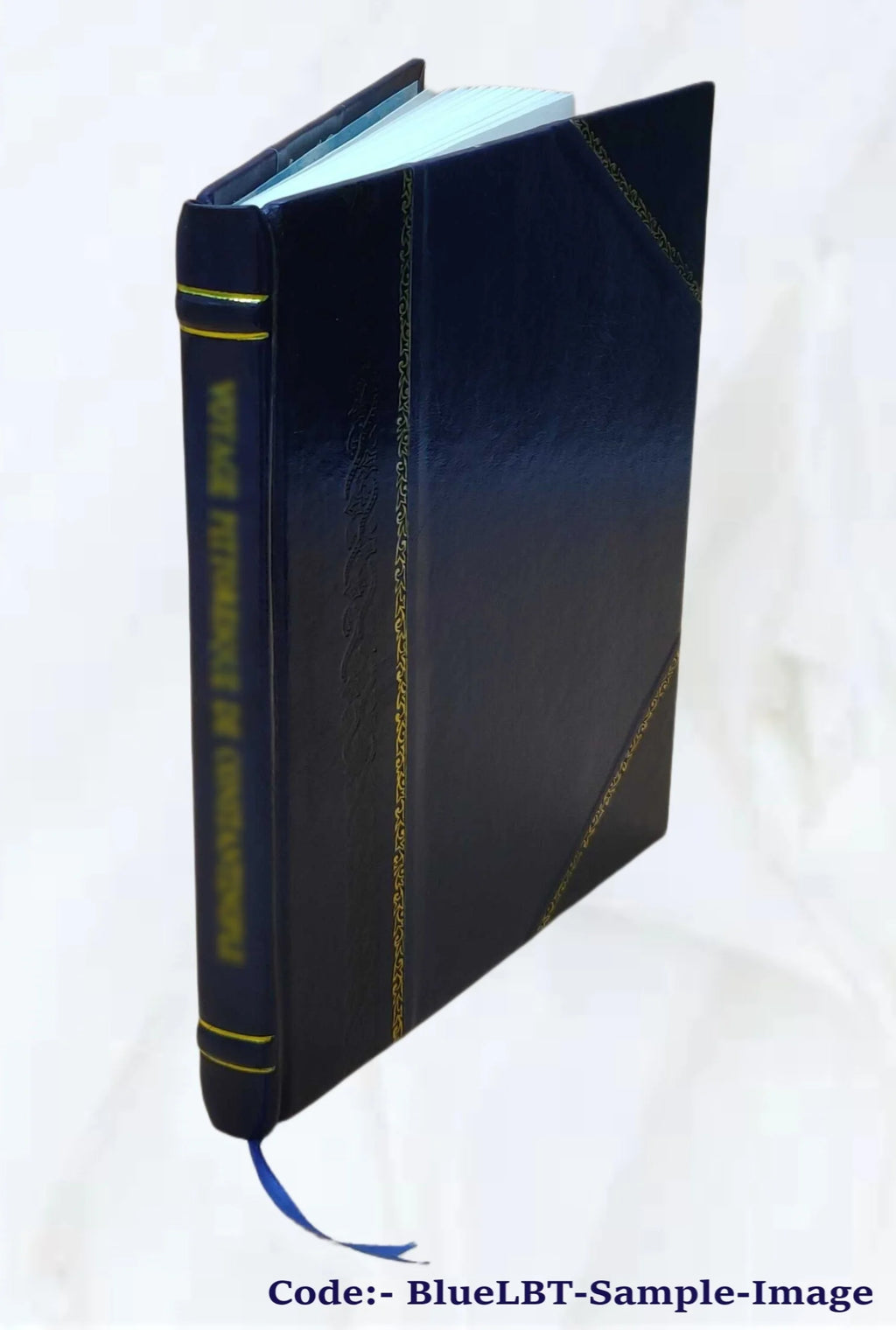 Leather Bound Book I4305