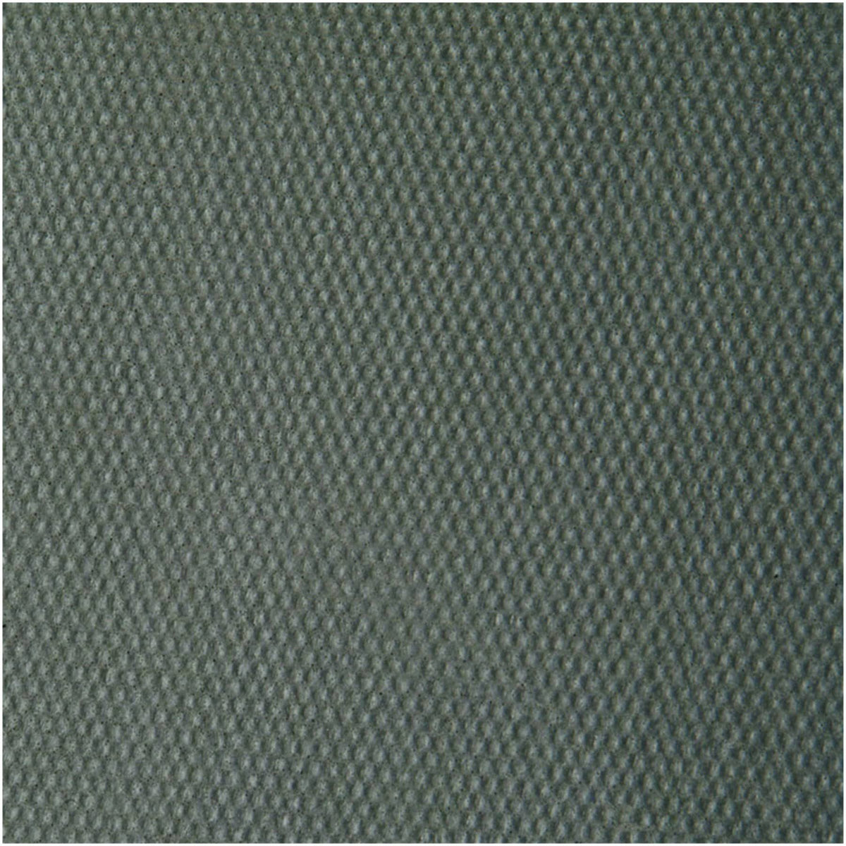 Under Carpet P595