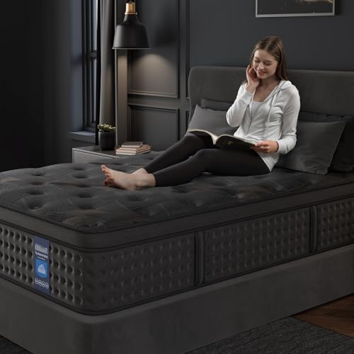 10 Inch Hybrid Queen Mattress with Memory Foam & Pocket Spring P21696