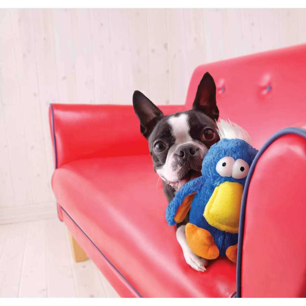 Dog Toy B13545