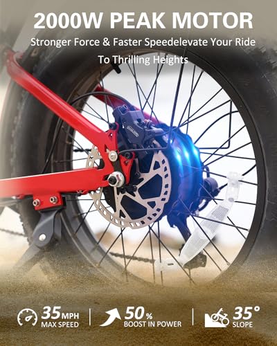 20" Fat Tire 48V 25Ah 7-Speed Electric Bike M4026