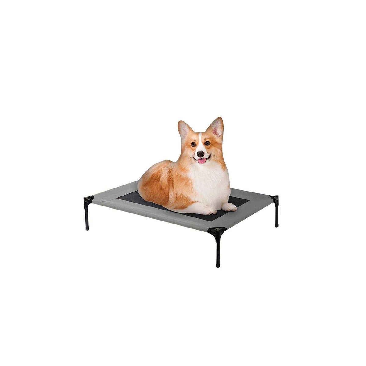 Cot Dog Bed X91894