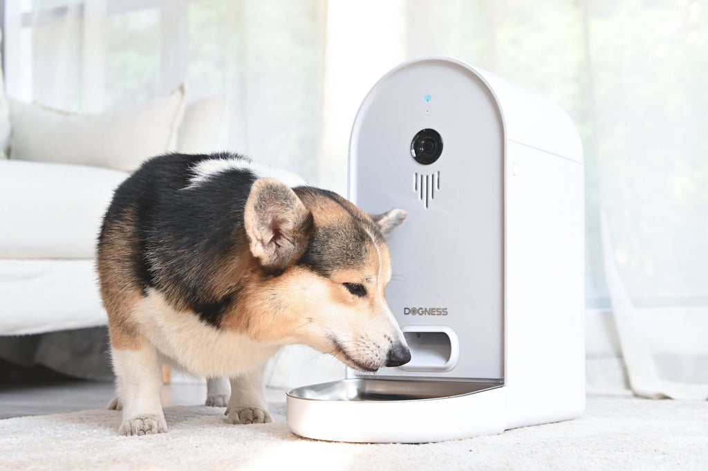 Automatic WiFi Dog/Cat Smart Camera Feeder A422315