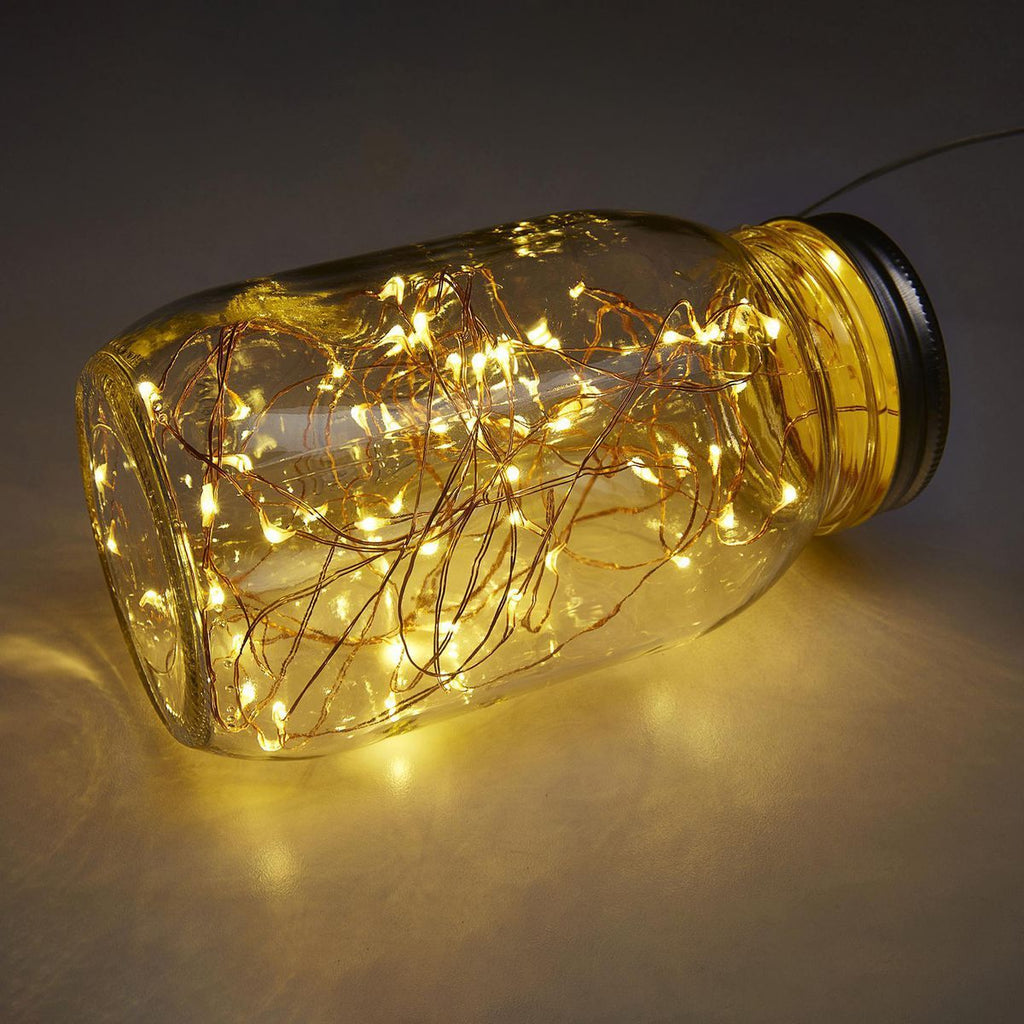 Warm White Copper Wire Lights with Remote U297