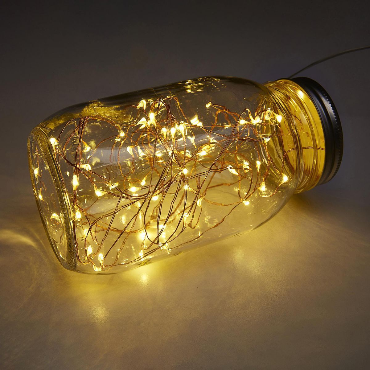 Warm White Copper Wire Lights with Remote U297