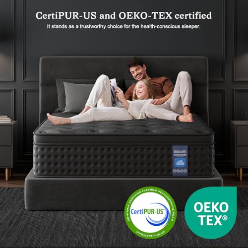 10 Inch Hybrid Queen Mattress with Memory Foam & Pocket Spring P21696