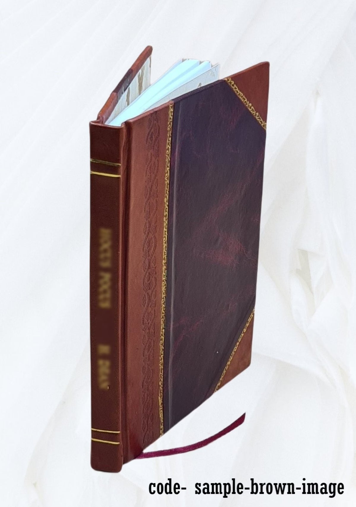 Leather Bound Book I4305