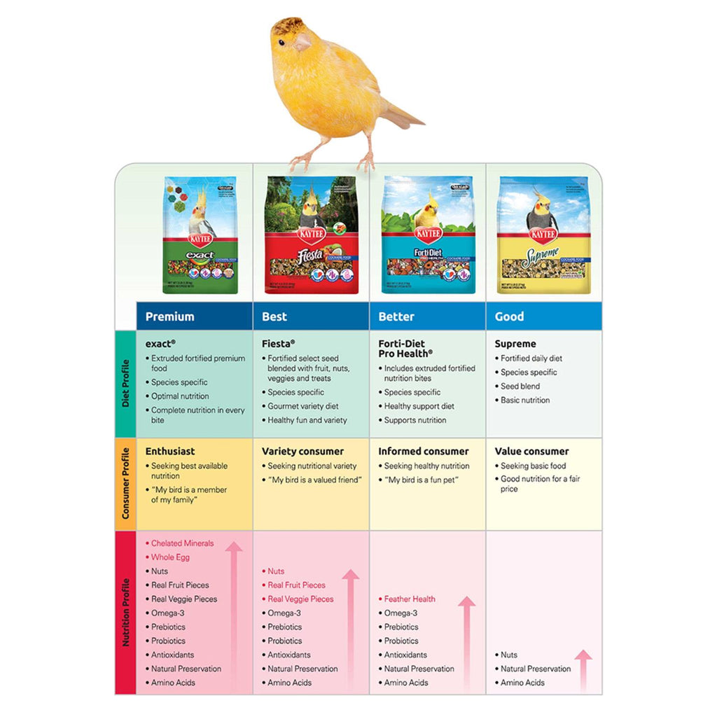 Rainbow Chunky Parrot Food W70339
