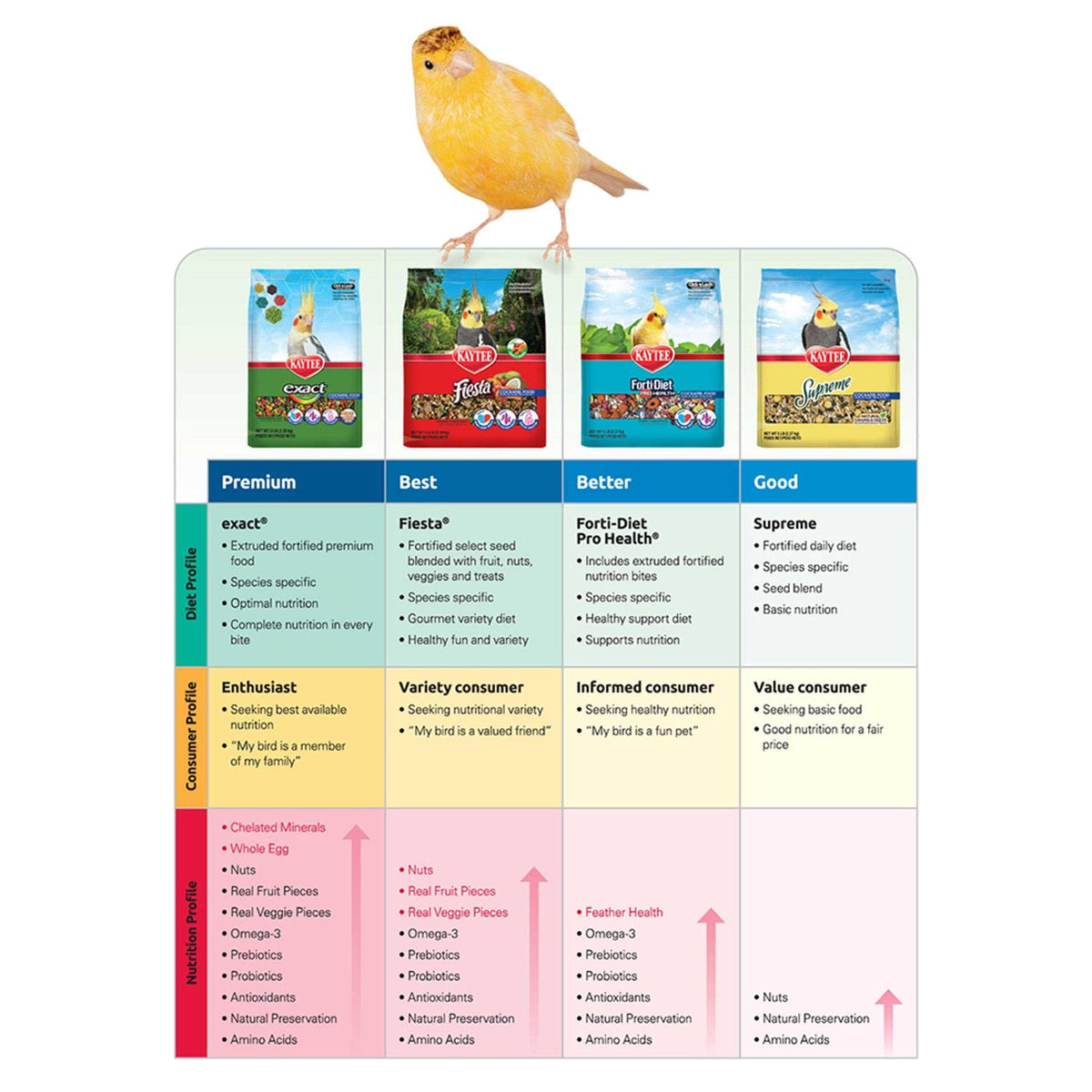 Rainbow Chunky Parrot Food W70339
