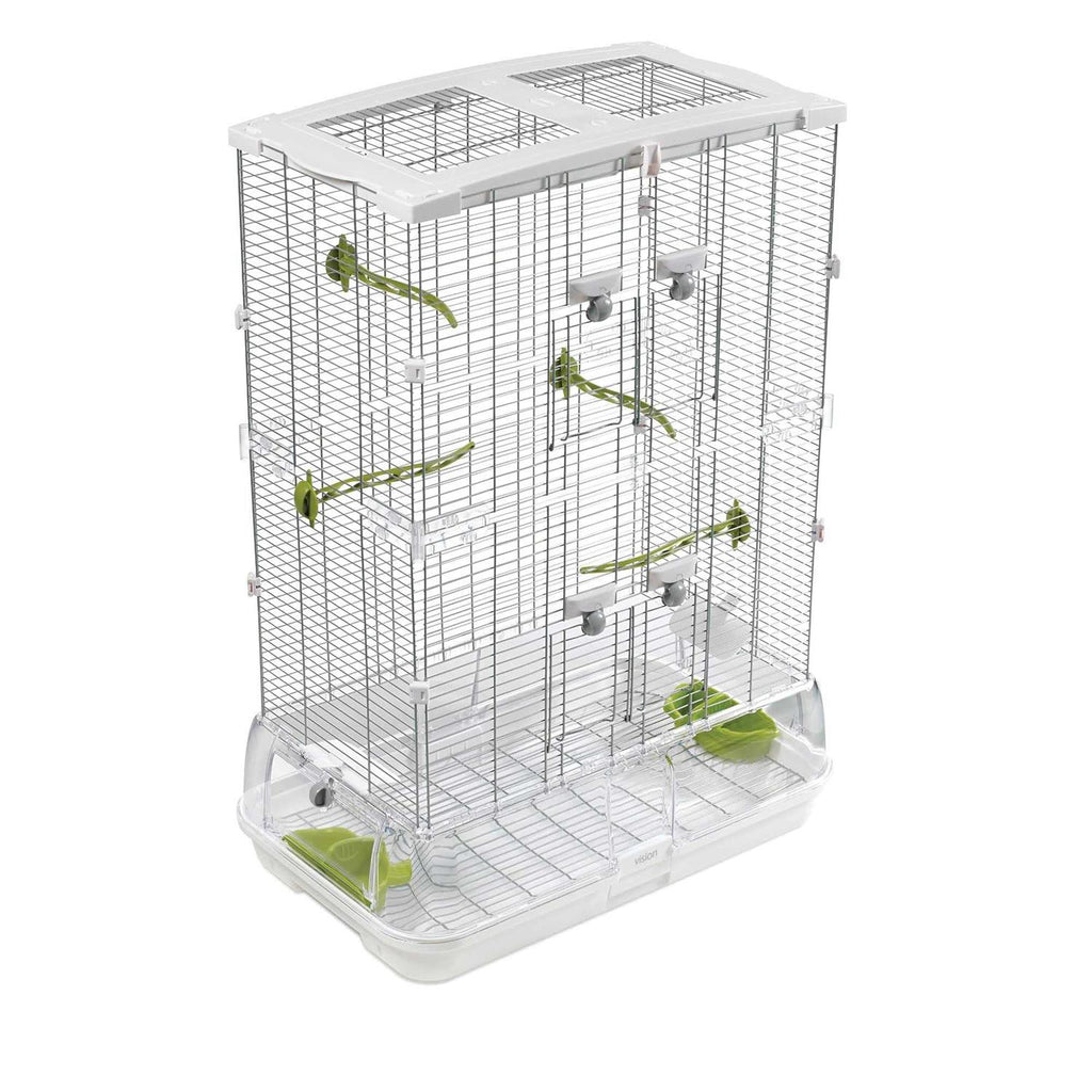 Bird Cage A52771