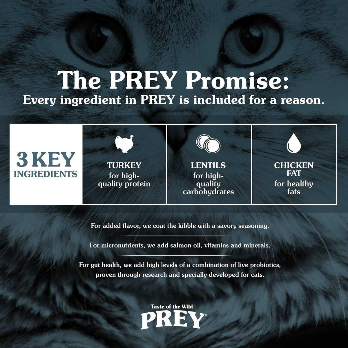 Limited Ingredient Turkey Cat Food P532022