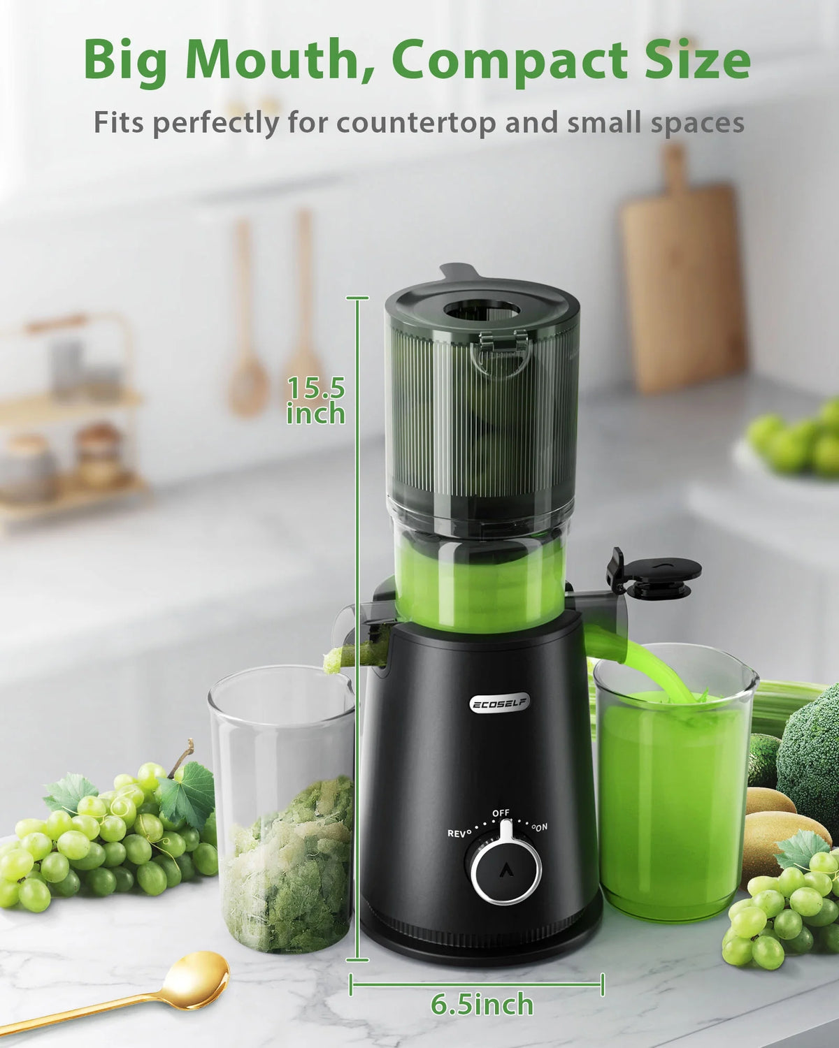 Cold Press Juicer B998