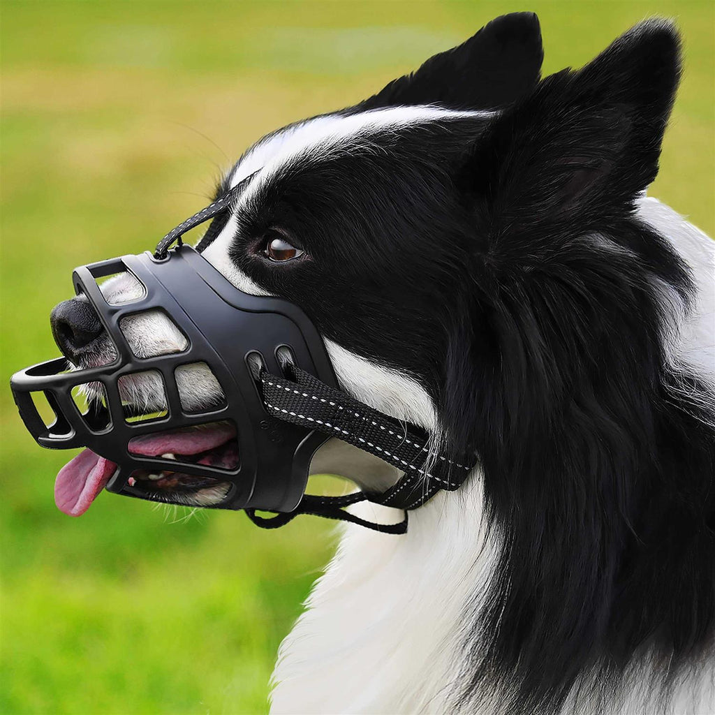Dog Muzzle Y406810
