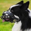 Dog Muzzle Y406810