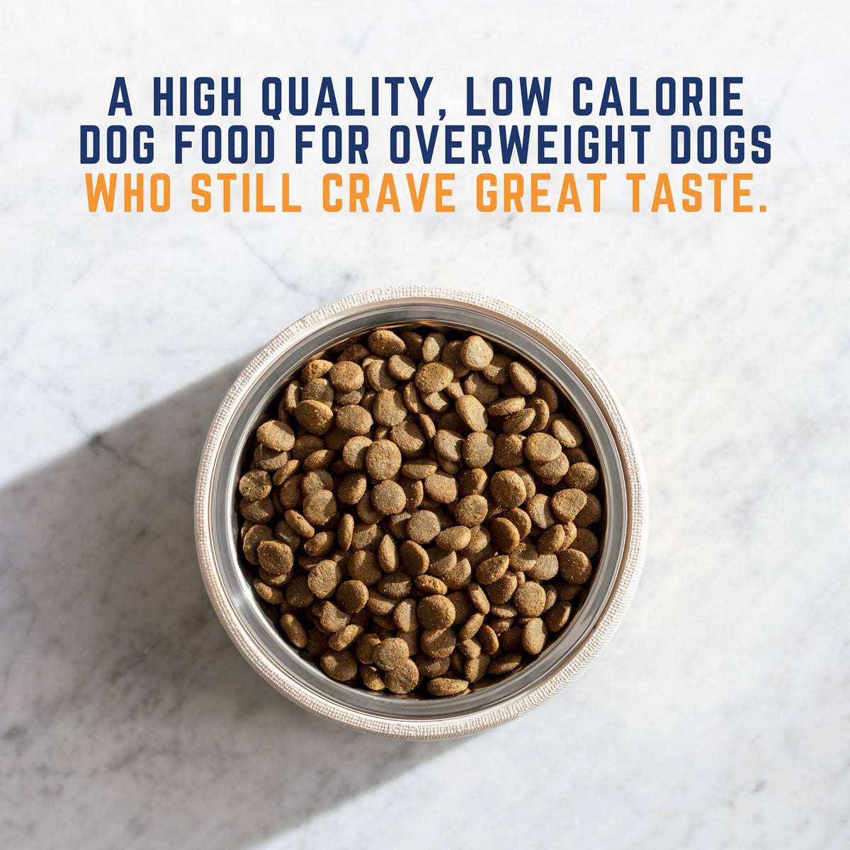 28 lb Chicken Meal Salmon Meal Barley Formula Dog Food K804