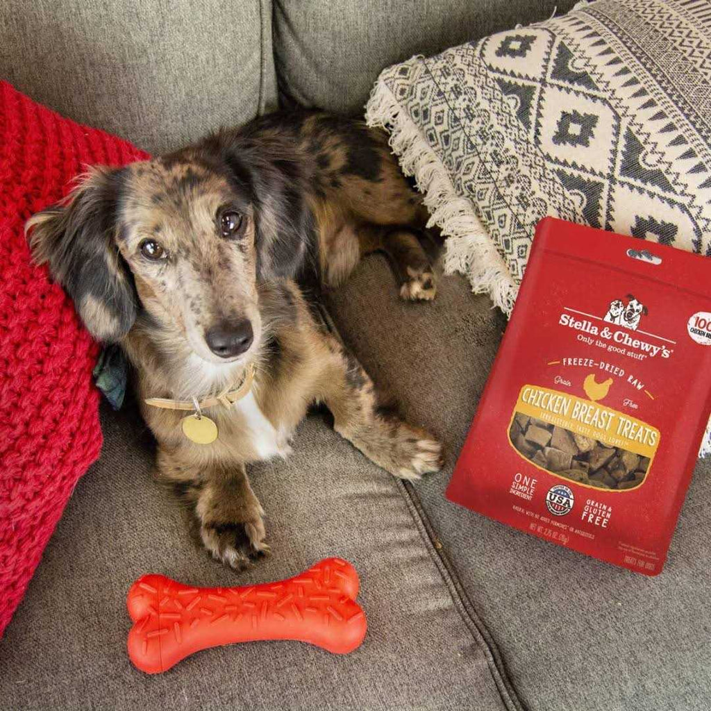Beef Freeze Dried Dog Treats T651108
