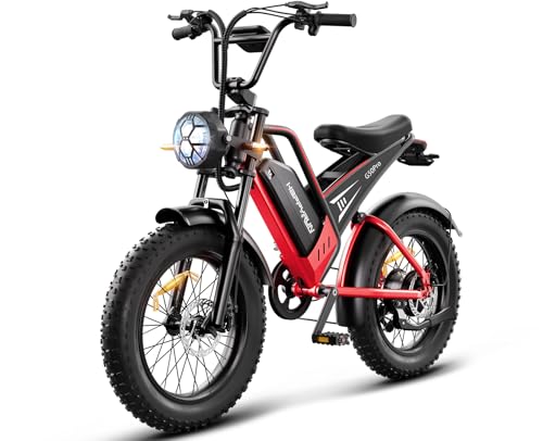 20" Fat Tire 48V 25Ah 7-Speed Electric Bike M4026