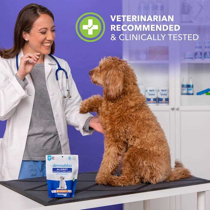 Seasonal Allergy & Immune Soft Chews for Dogs C67996