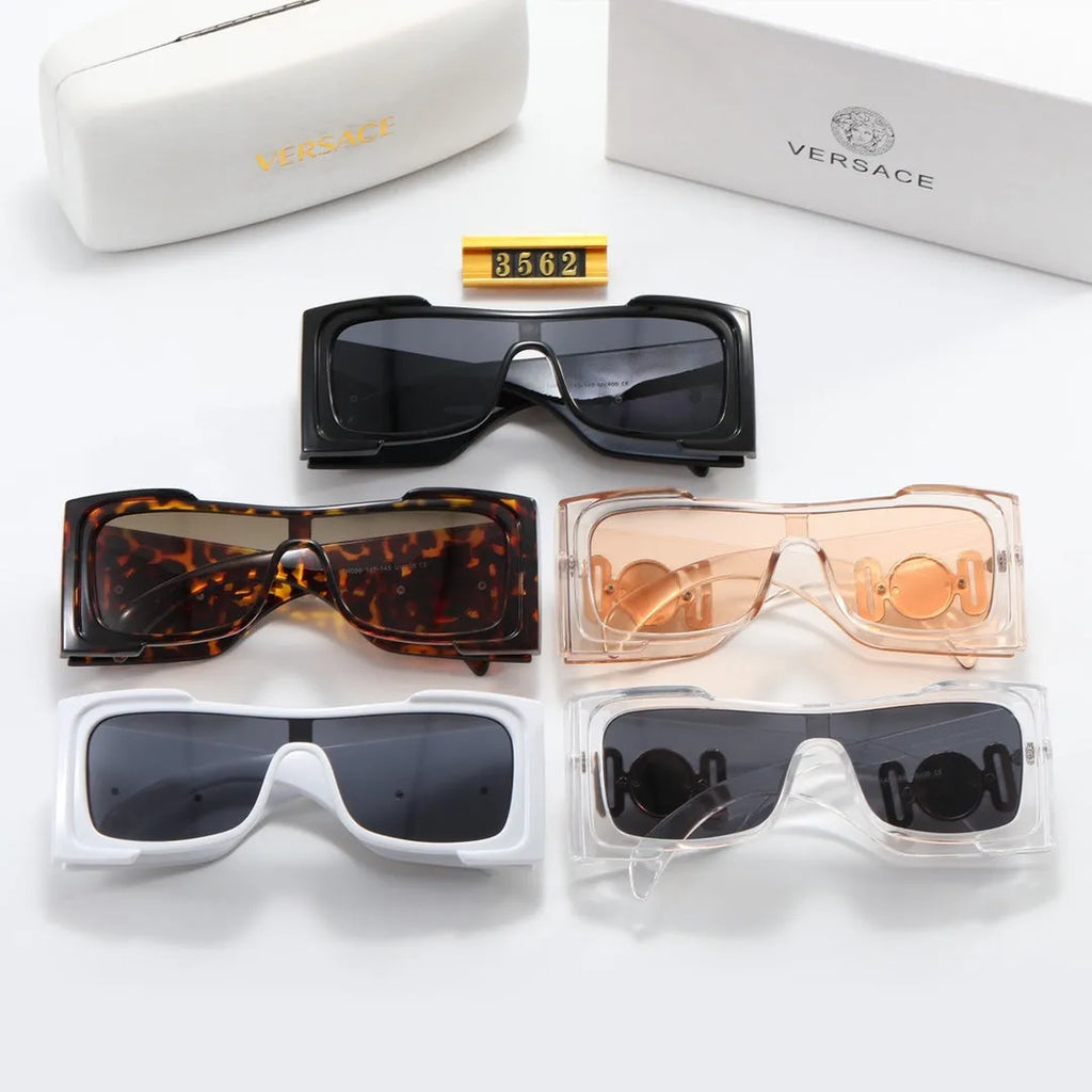 VE Letter Temple Sunglasses N11373