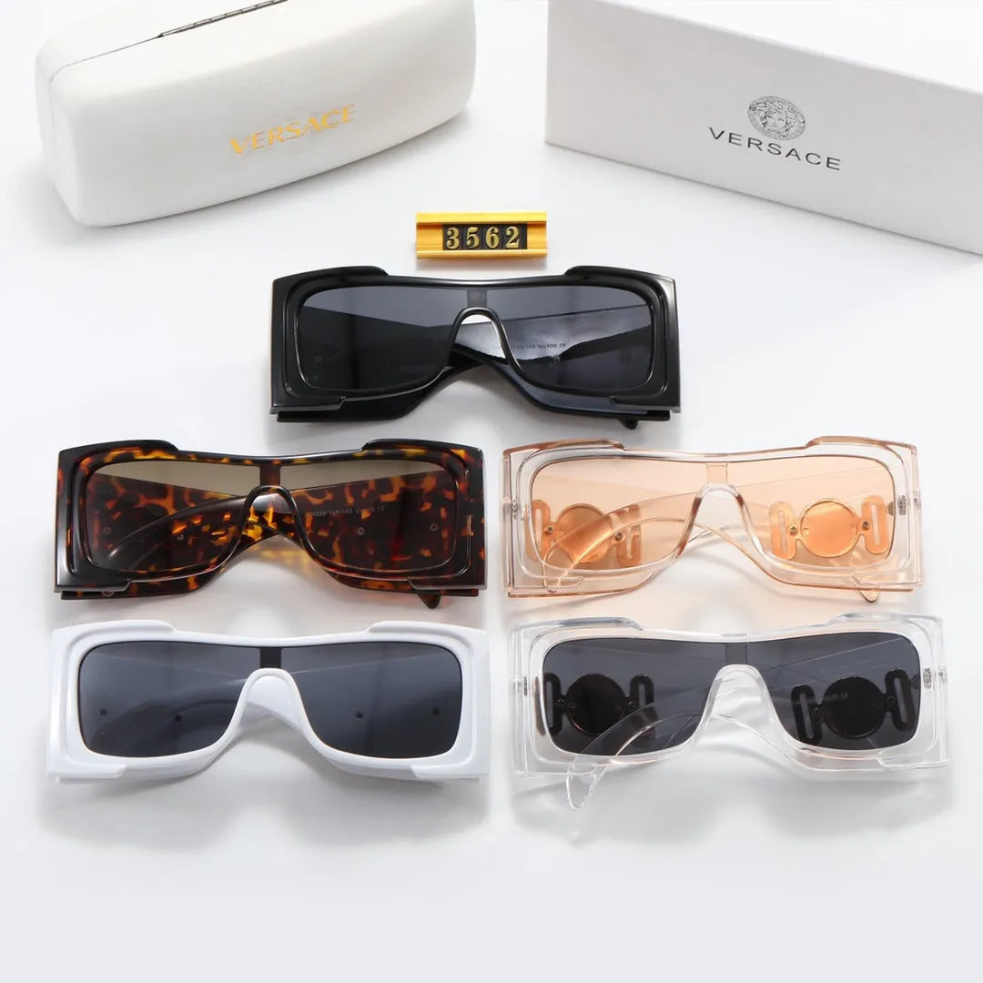 VE Letter Temple Sunglasses N11373