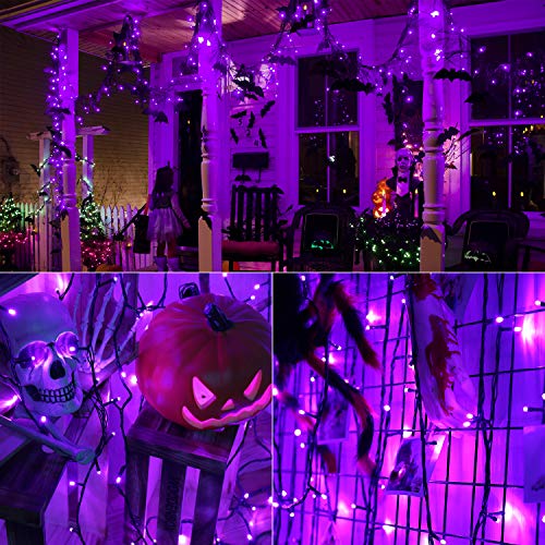 240 LED 78.74ft Orange Purple String Lights X672