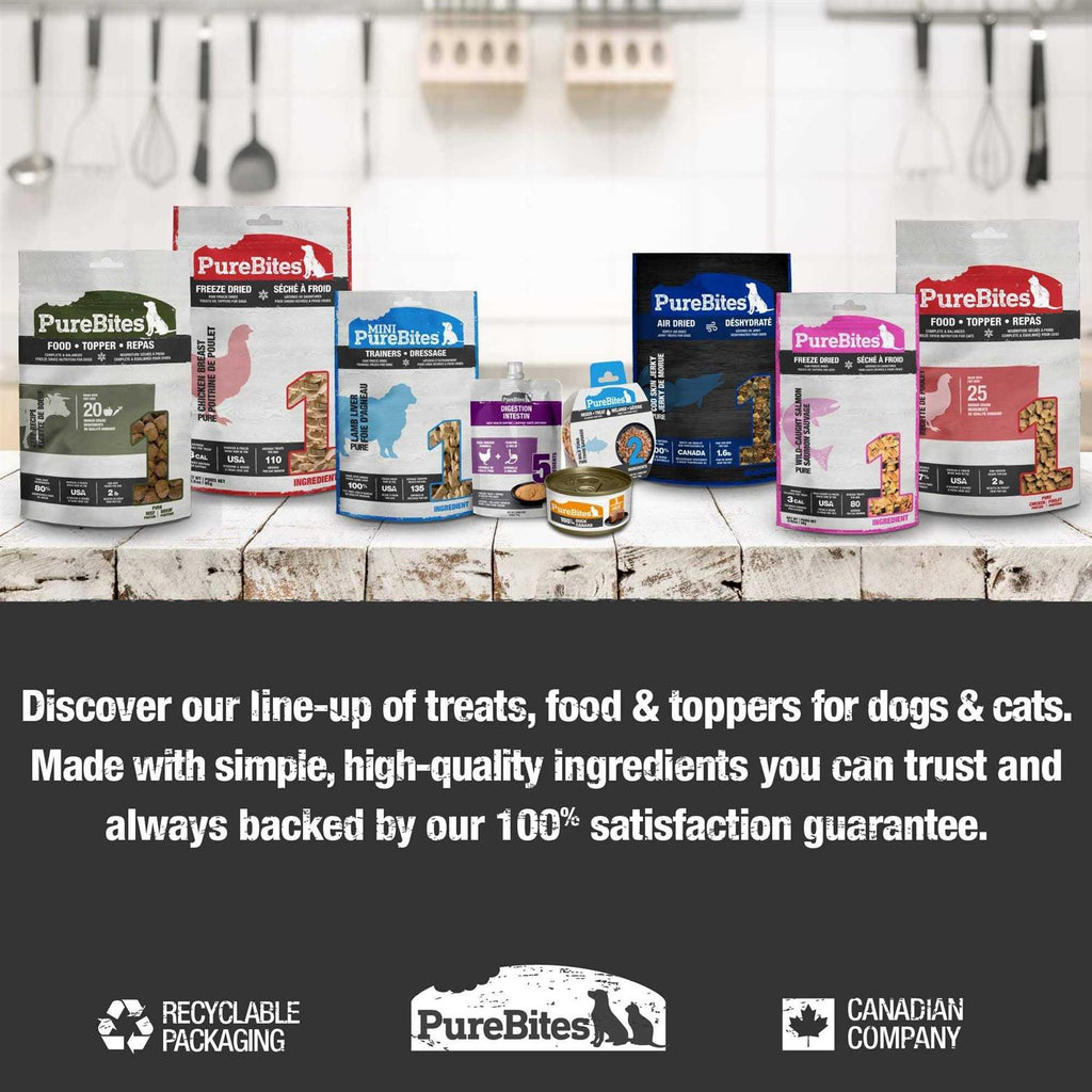 Freeze Dried Salmon Dog Treats O632860