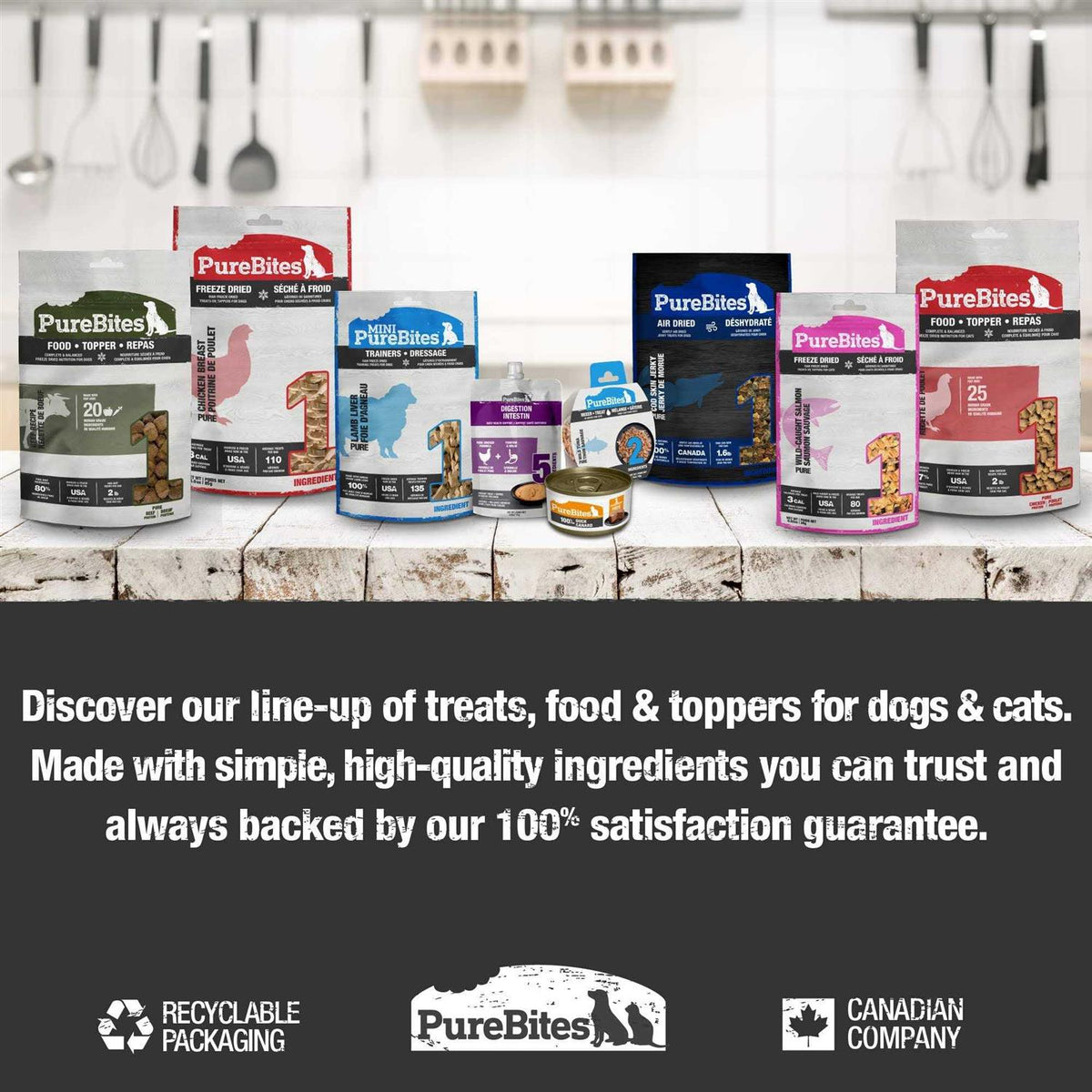 Freeze Dried Salmon Dog Treats O632860