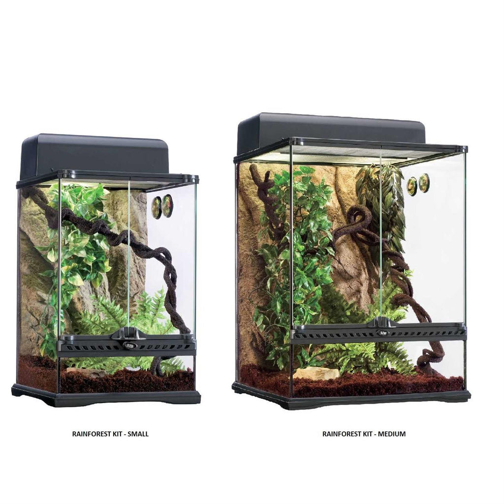 Rainforest Habitat Kit Q918832