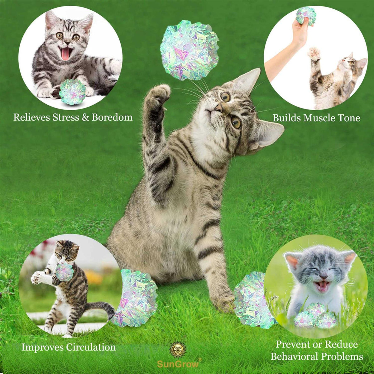 Clear Mylar Cat & Ferret Crinkle Balls & Chase Toy M669811