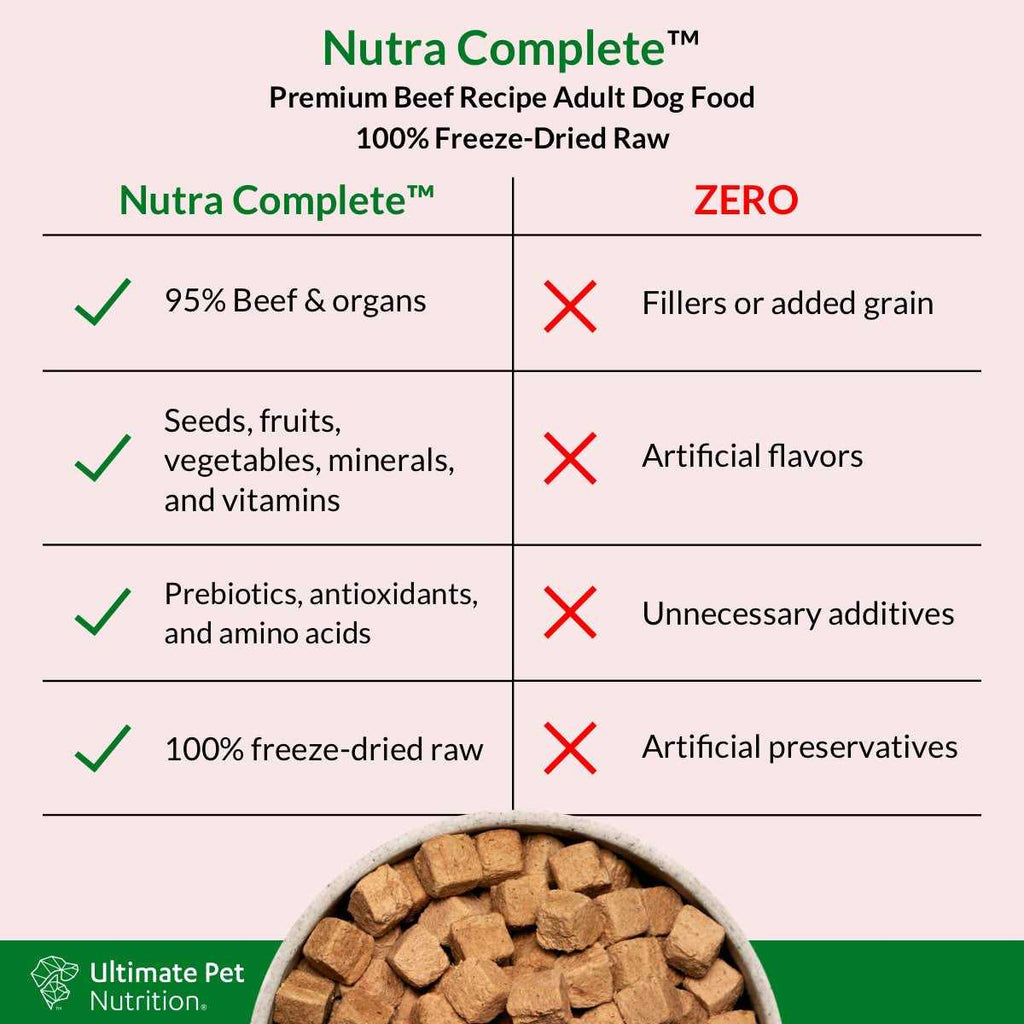 Freeze Dried Beef Dog Food B984542