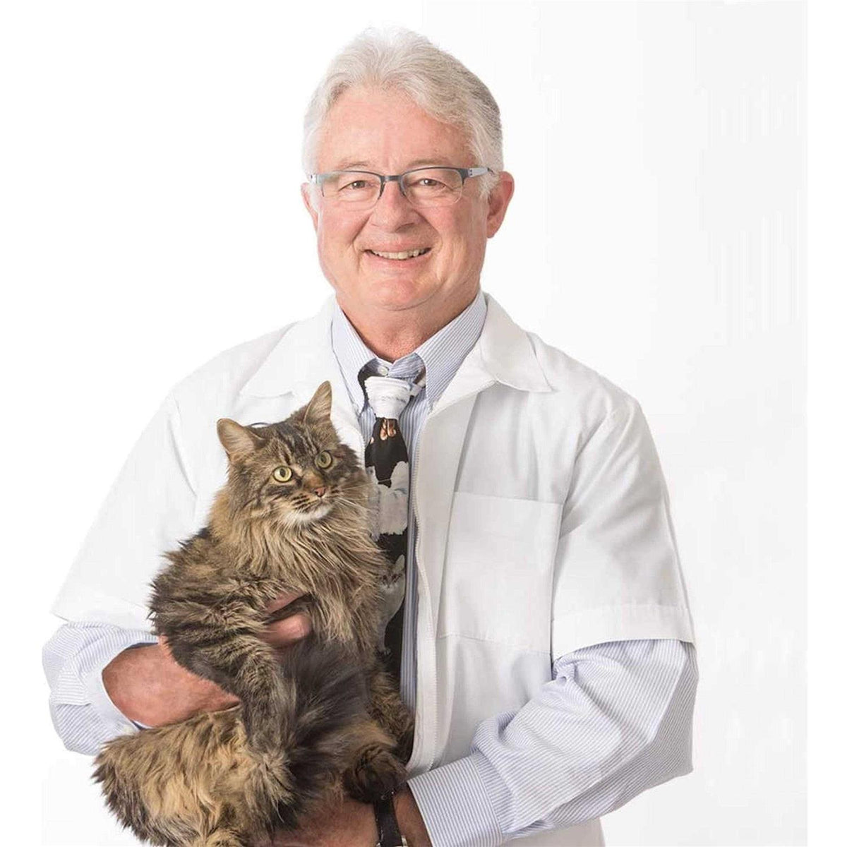 Clumping Cat Litter I339159