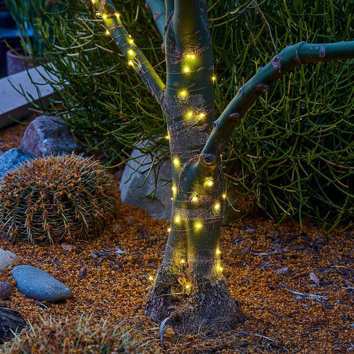 Warm White Copper Wire Lights with Remote U297