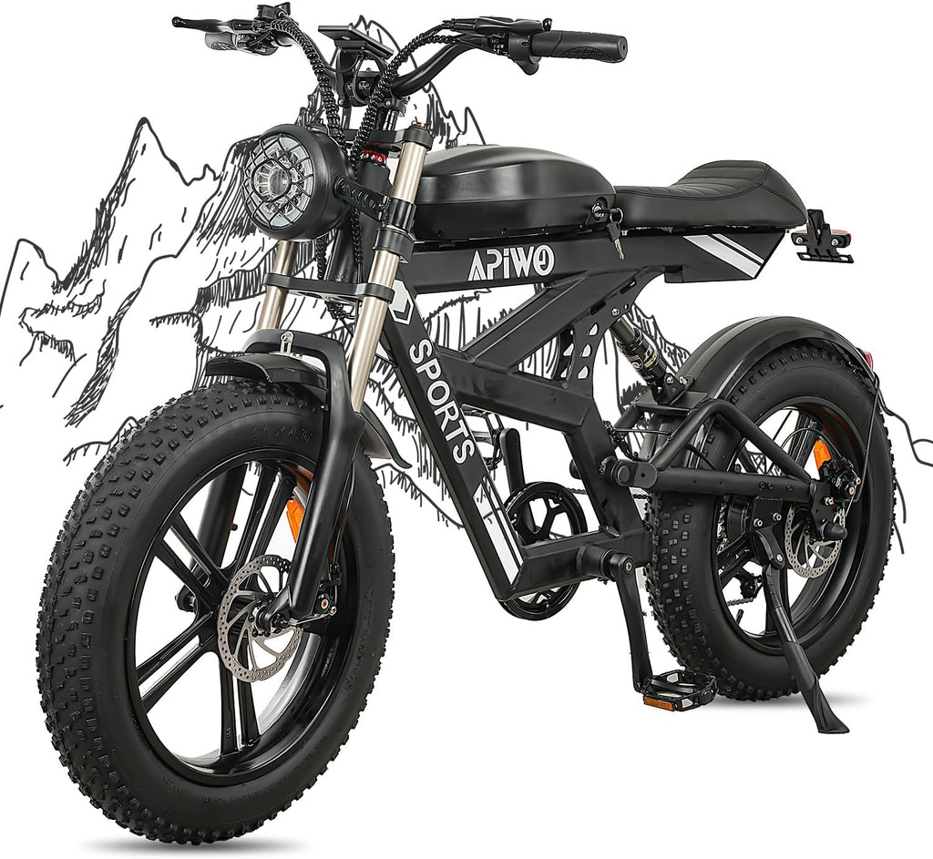 20" Fat Tire Electric Bike with 48V 20Ah Battery T6576