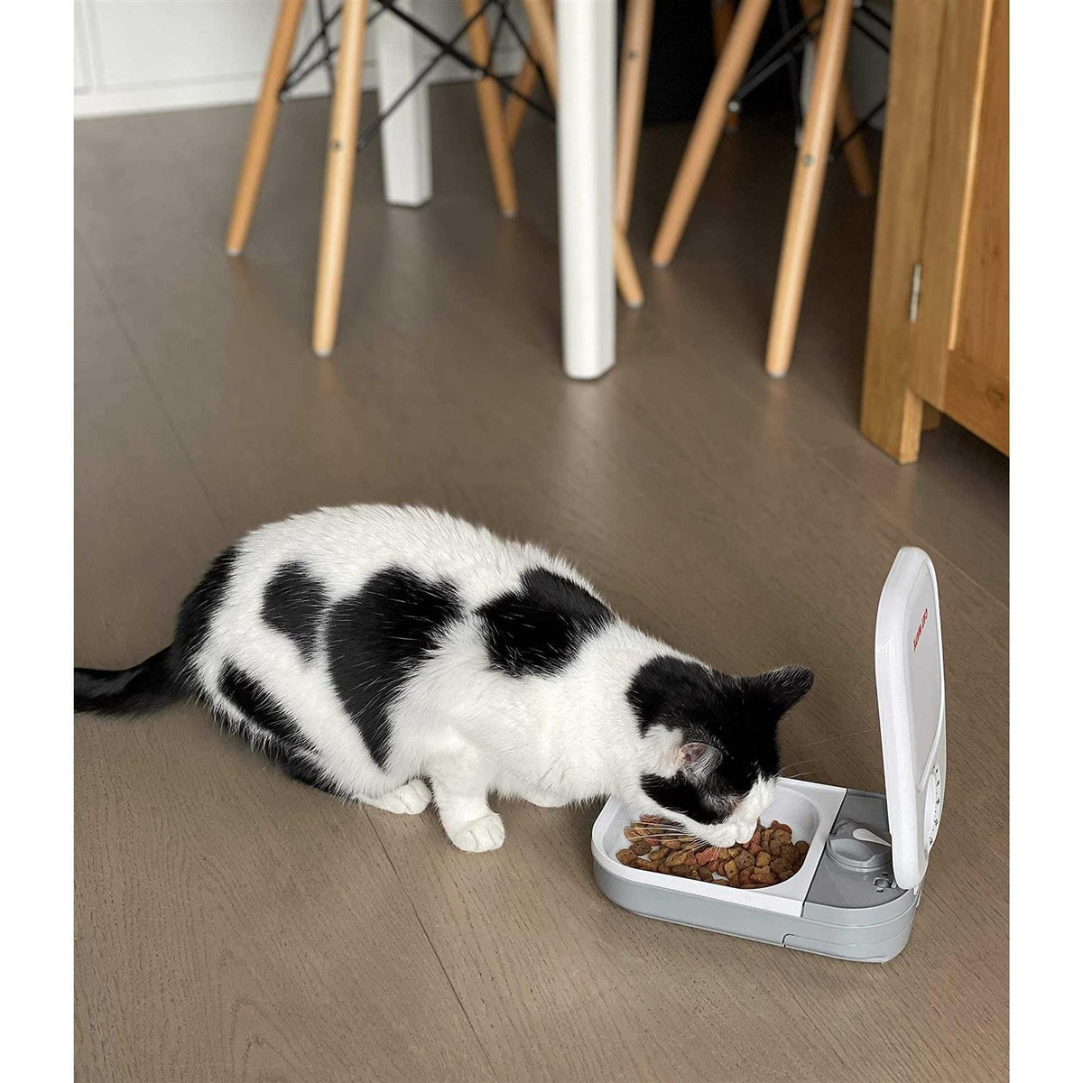 Automatic Pet Feeder Y490