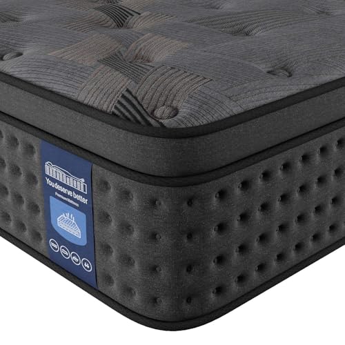 10 Inch Hybrid Queen Mattress with Memory Foam & Pocket Spring P21696