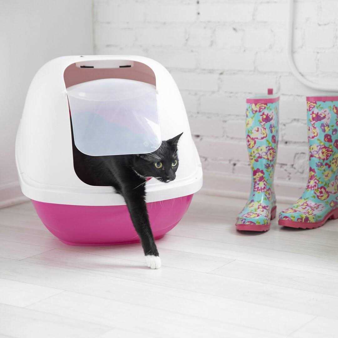 Hooded Litter Pan C221