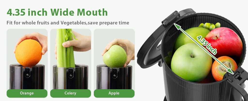 Cold Press Juicer B998