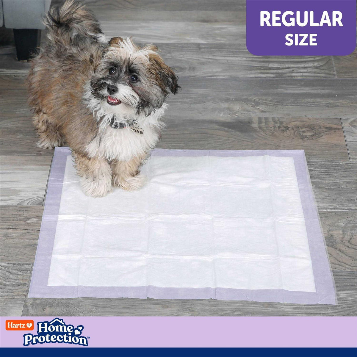 Lavender Scent Odor Eliminating Dog Pads I50315
