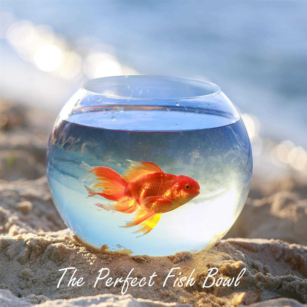 Glass Bubble Bowl Vase Y8757