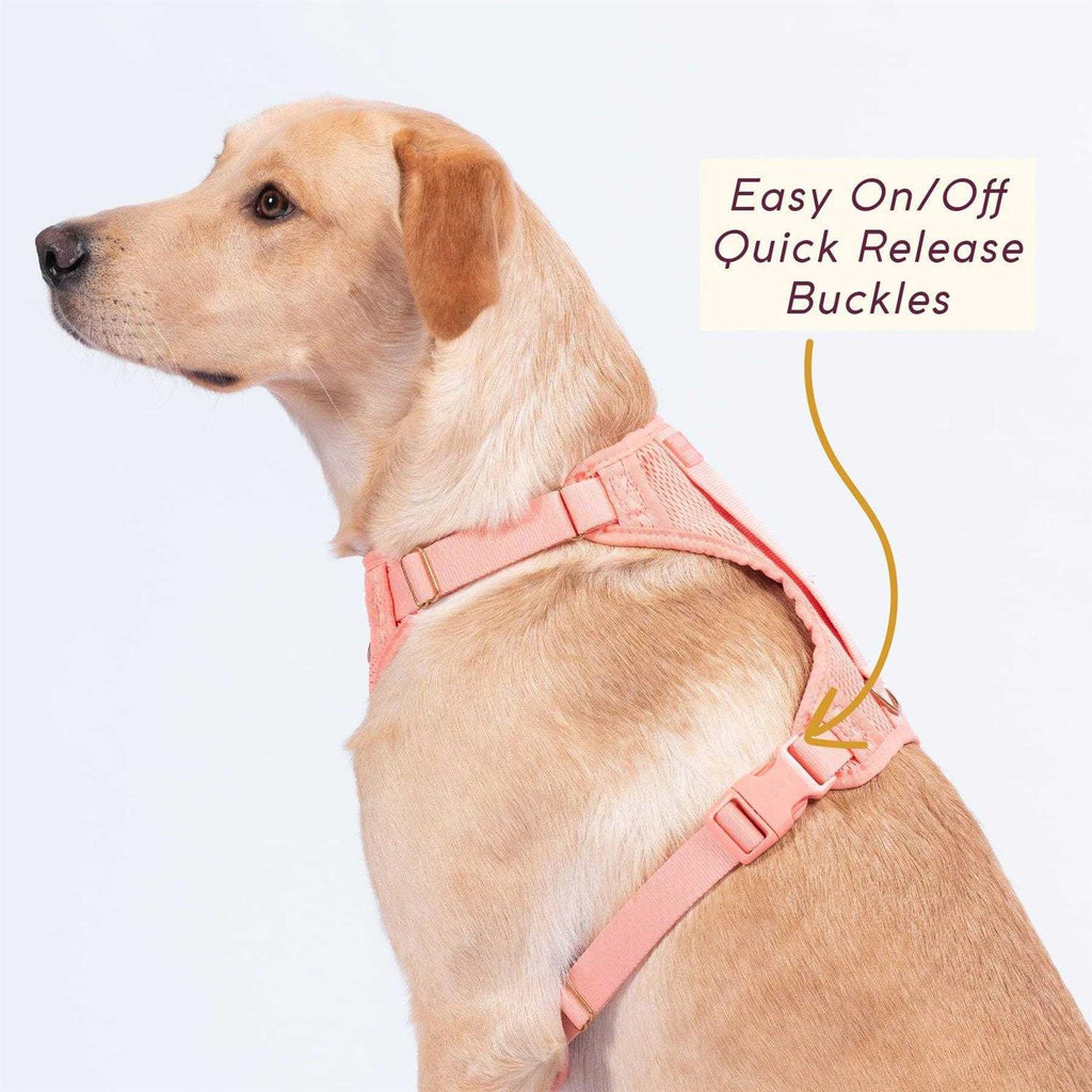 Huggie Harness G26986