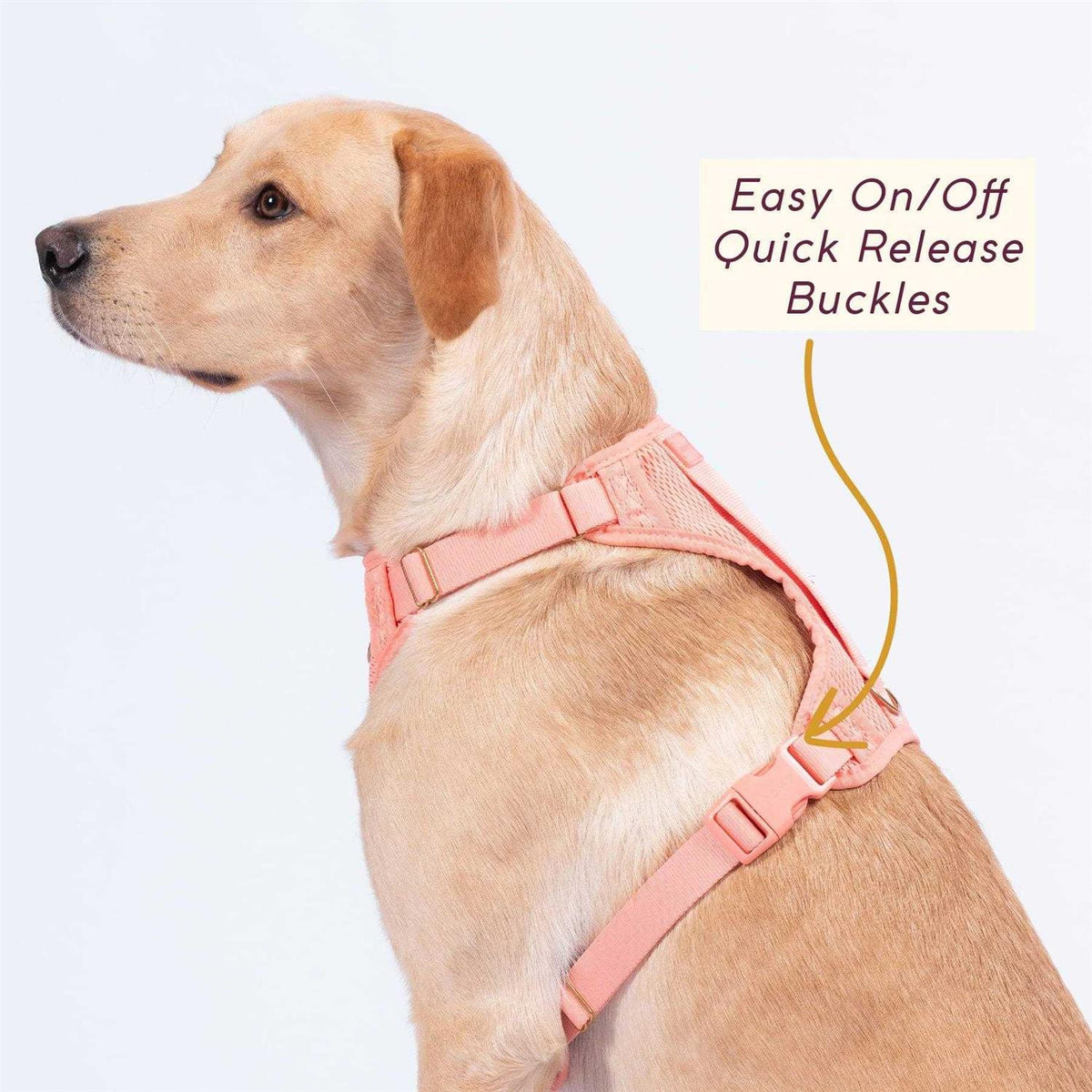 Huggie Harness G26986